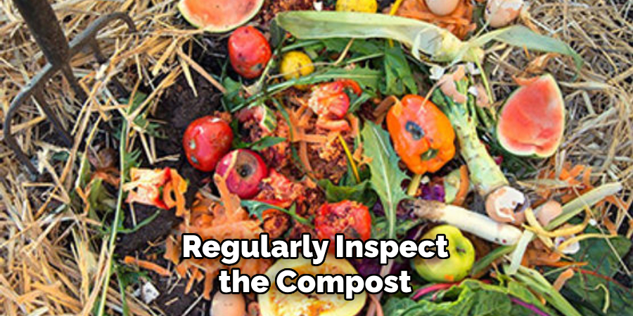 Regularly Inspect the Compost