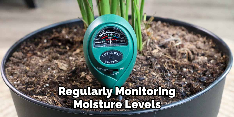 Regularly Monitoring Moisture Levels