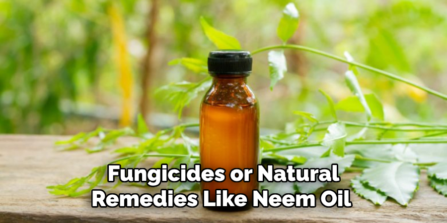 Fungicides or Natural Remedies Like Neem Oil 