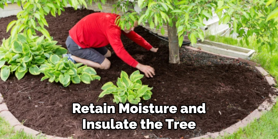 Retain Moisture and Insulate the Tree