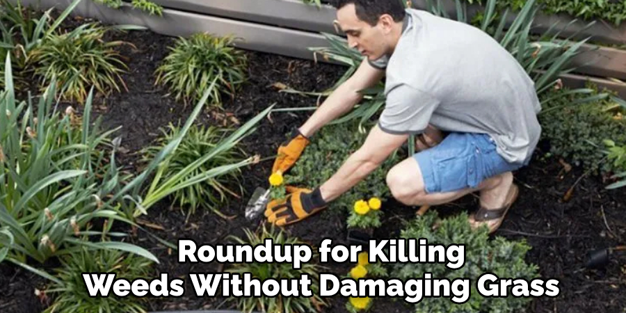 Roundup for Killing Weeds Without Damaging Grass