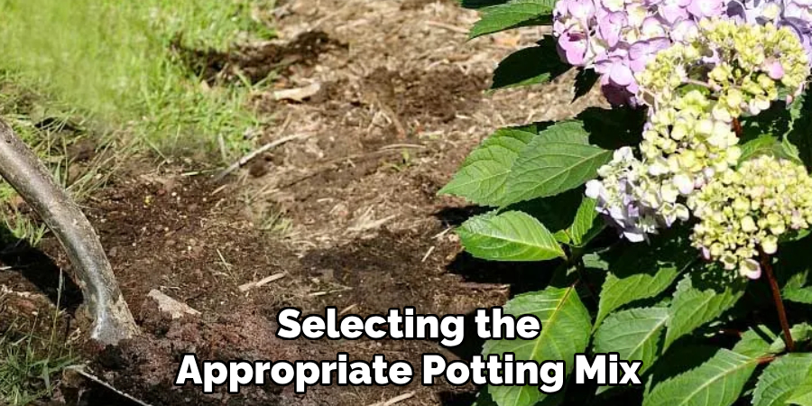 Selecting the 
Appropriate Potting Mix 