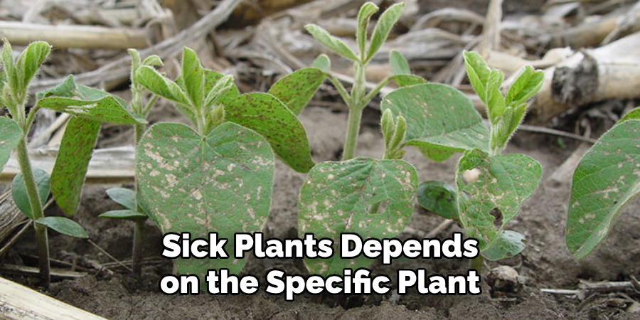 Sick Plants Depends on the Specific Plant
