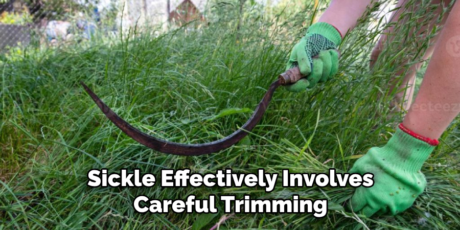 Sickle Effectively Involves Careful Trimming
