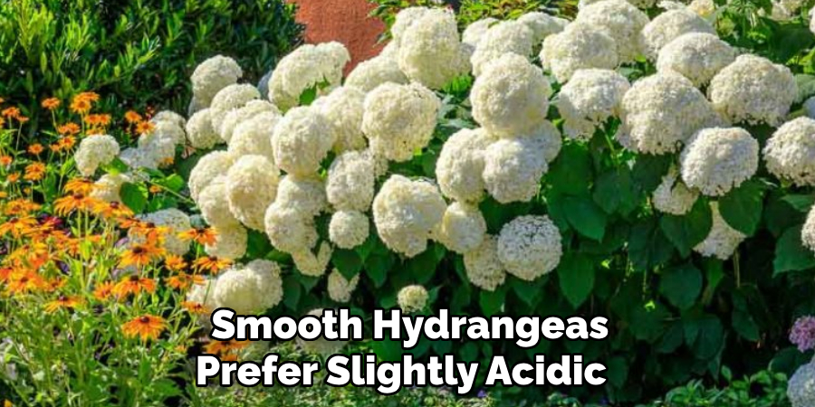 Smooth Hydrangeas 
Prefer Slightly Acidic   