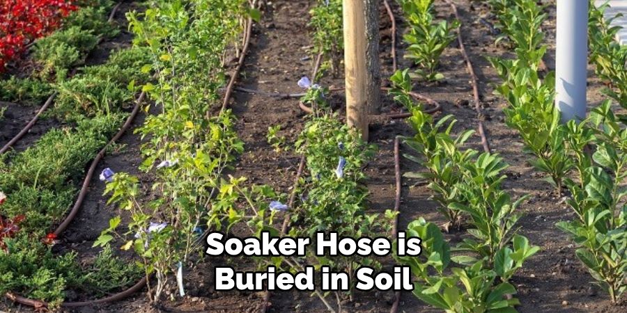 Soaker Hose is Buried in Soil