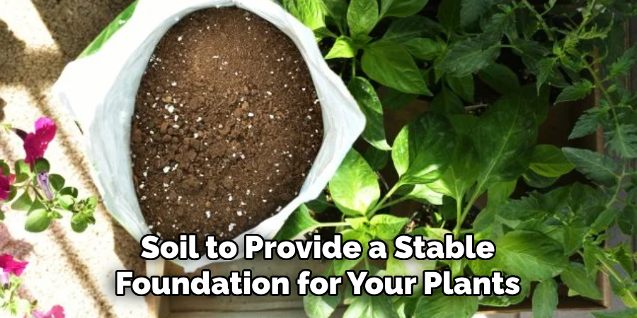 Soil to Provide a Stable Foundation for Your Plants