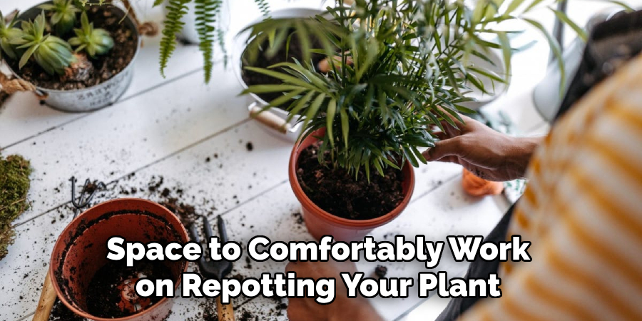 Space to Comfortably Work on Repotting Your Plant