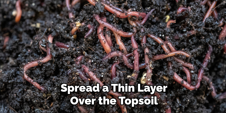 Spread a Thin Layer Over the Topsoil