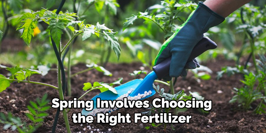Spring Involves Choosing the Right Fertilizer
