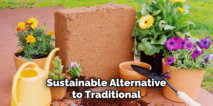 Sustainable Alternative to Traditional