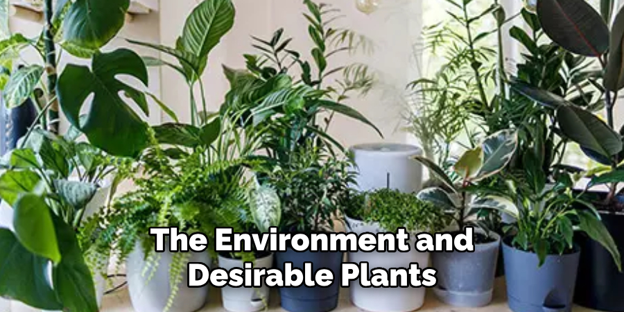 The Environment and Desirable Plants
