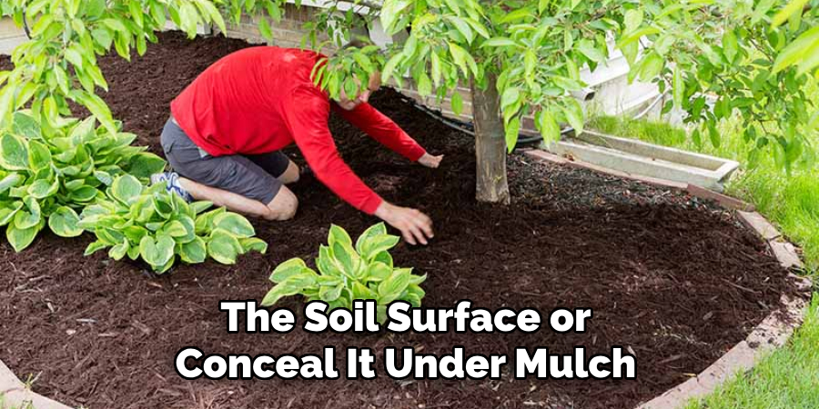 The Soil Surface or Conceal It Under Mulch