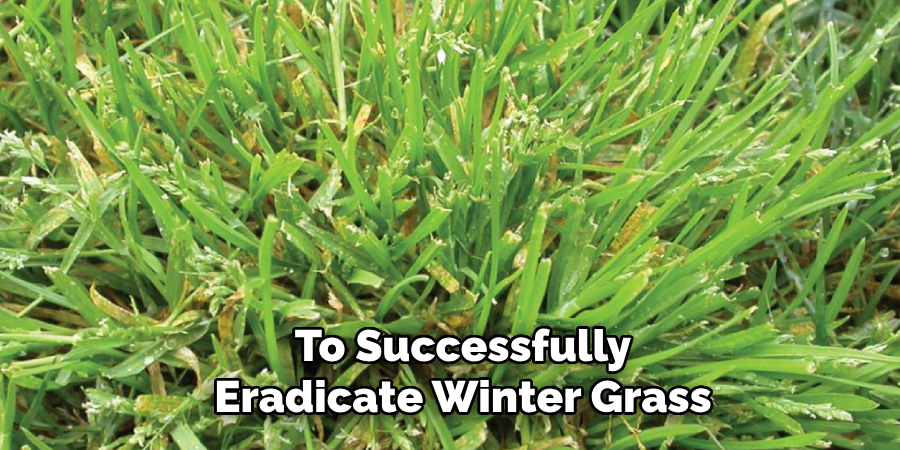 To Successfully Eradicate Winter Grass