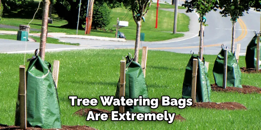Tree Watering Bags Are Extremely