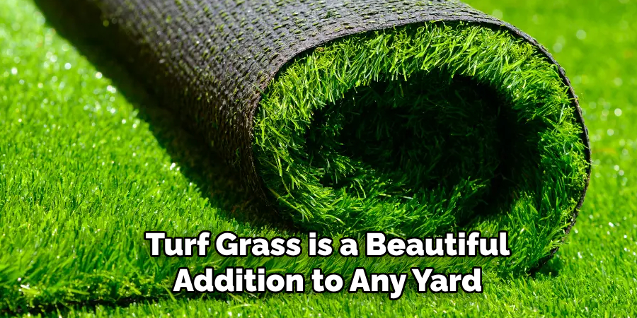 Turf Grass is a Beautiful Addition to Any Yard