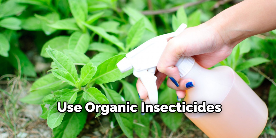Use Organic Insecticides