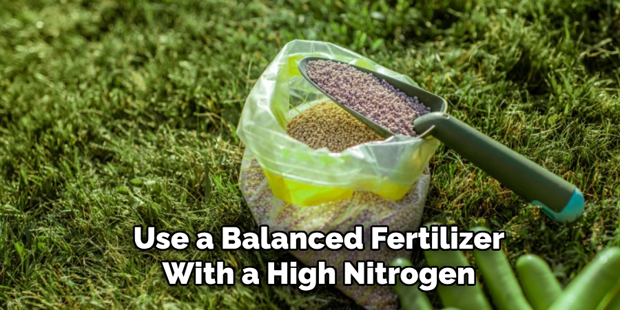 Use a Balanced Fertilizer With a High Nitrogen

