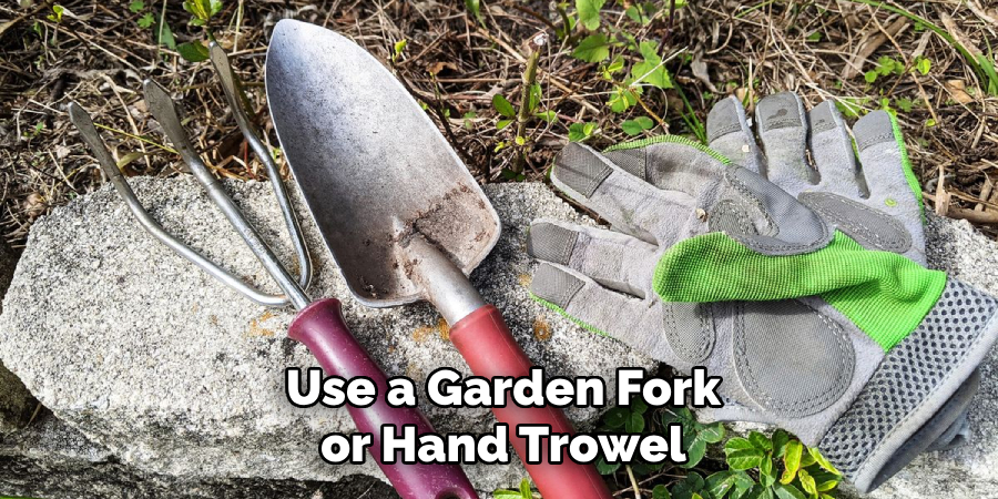 Use a Garden Fork or Hand Trowel