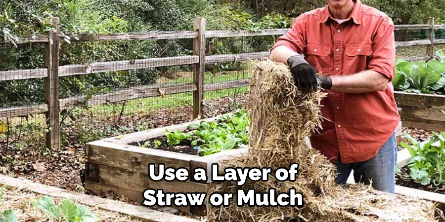 Use a Layer of Straw or Mulch