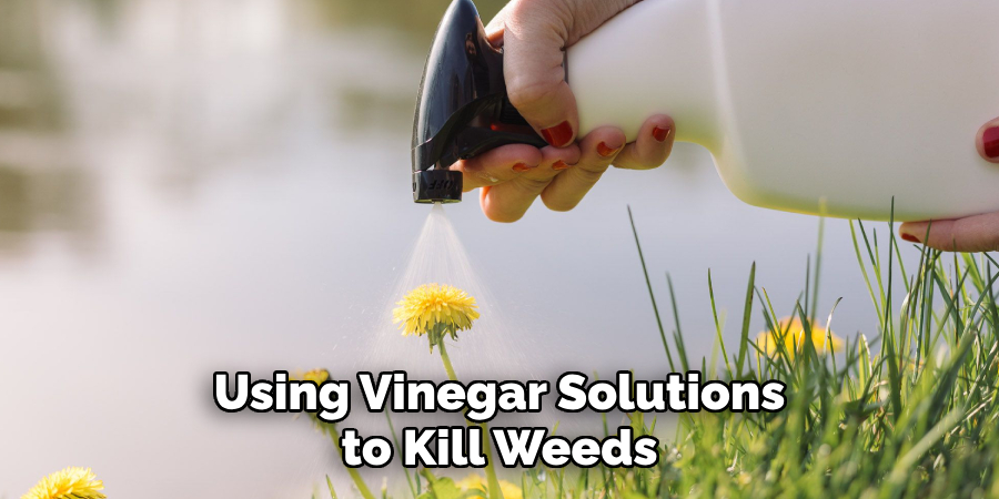 Using Vinegar Solutions to Kill Weeds