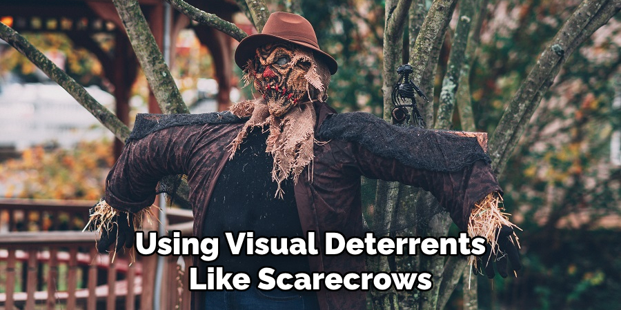 Using Visual Deterrents Like Scarecrows
