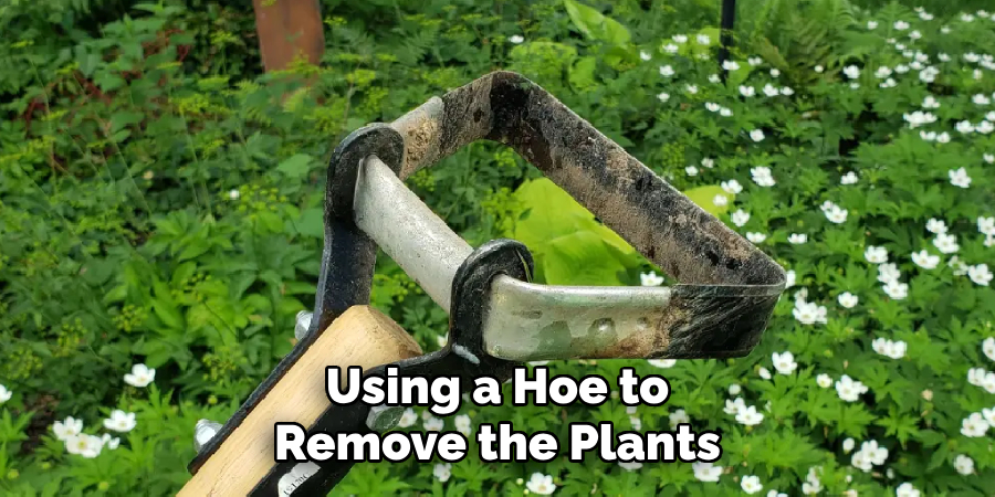 Using a Hoe to Remove the Plants