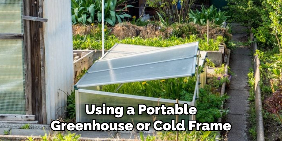 Using a Portable Greenhouse or Cold Frame