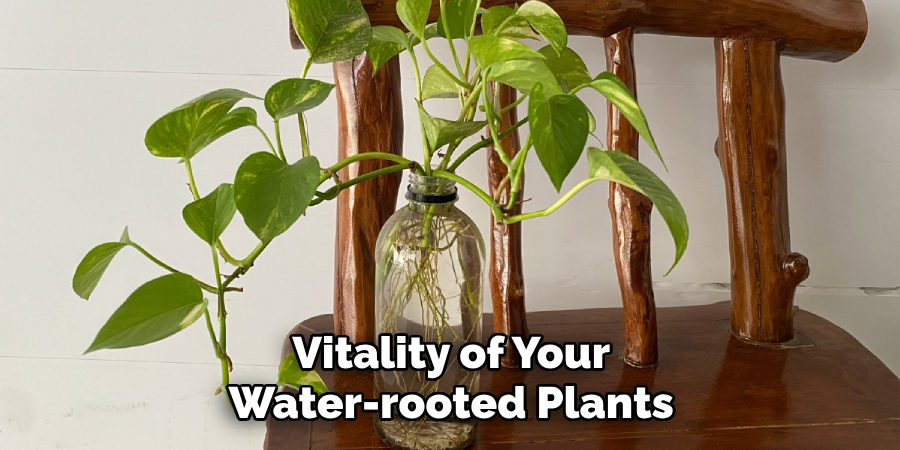 Vitality of Your Water-rooted Plants