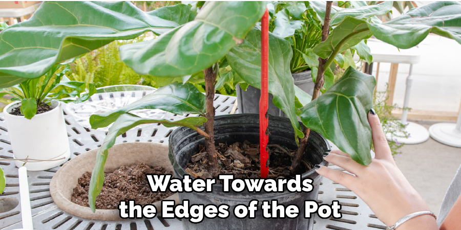 Water Towards the Edges of the Pot