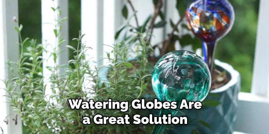 Watering Globes Are a Great Solution