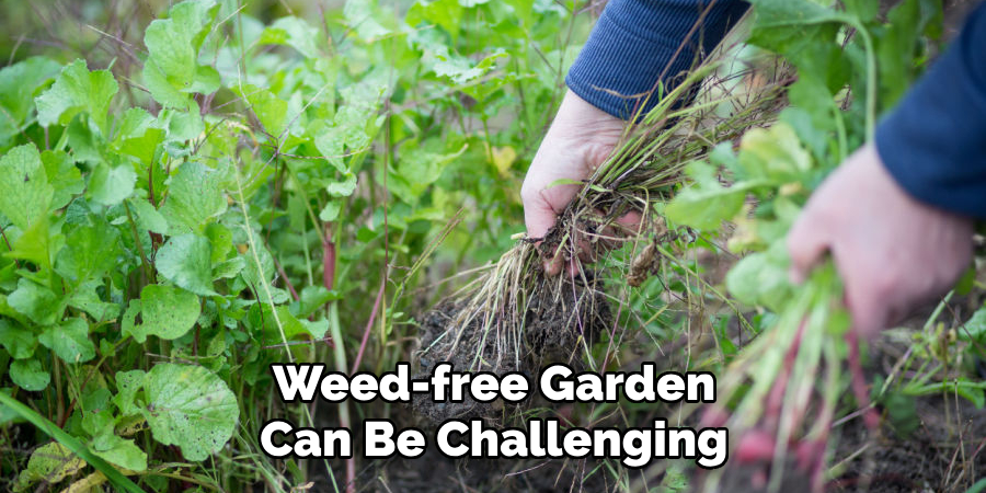 Weed-free Garden Can Be Challenging