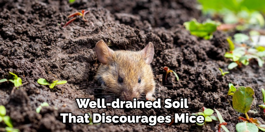 Well-drained Soil That Discourages Mice