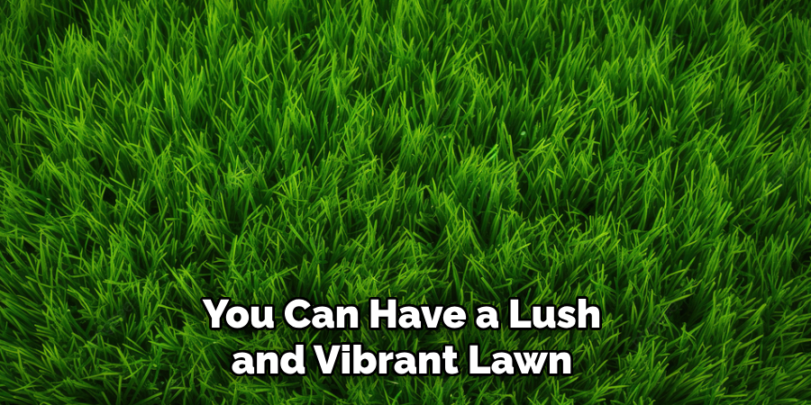 You Can Have a Lush and Vibrant Lawn