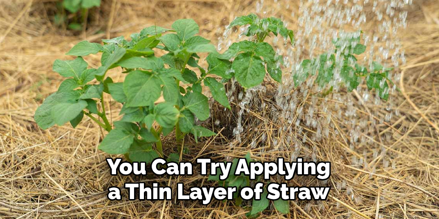 You Can Try Applying a Thin Layer of Straw