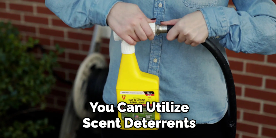 You Can Utilize Scent Deterrents
