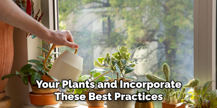 Your Plants and Incorporate These Best Practices