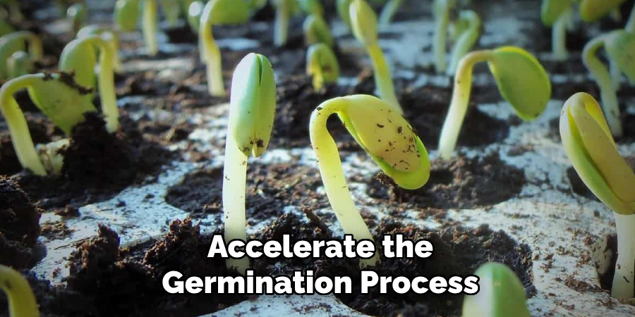 Accelerate the Germination Process