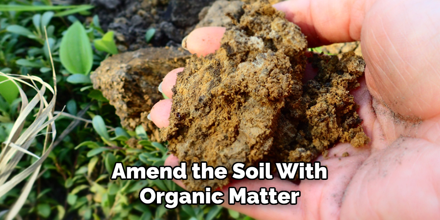 Amend the Soil With Organic Matter