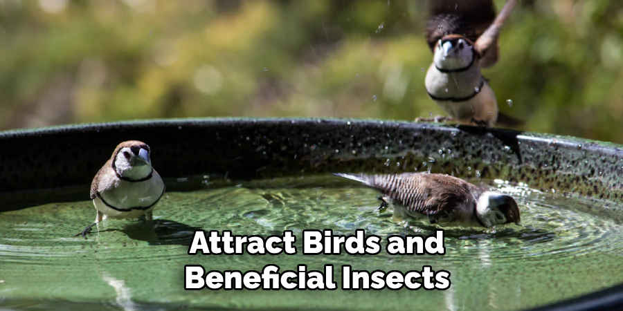 Attract Birds and Beneficial Insects