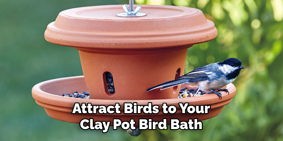 Attract Birds to Your Clay Pot Bird Bath