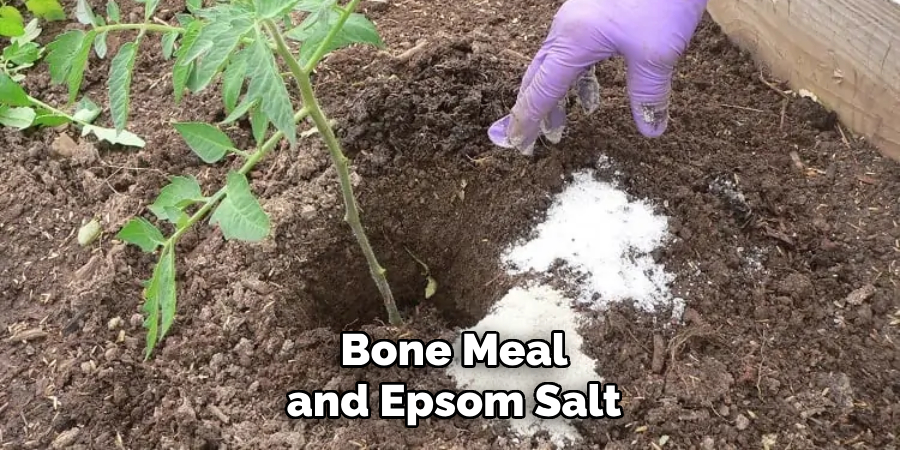 Bone Meal and Epsom Salt
