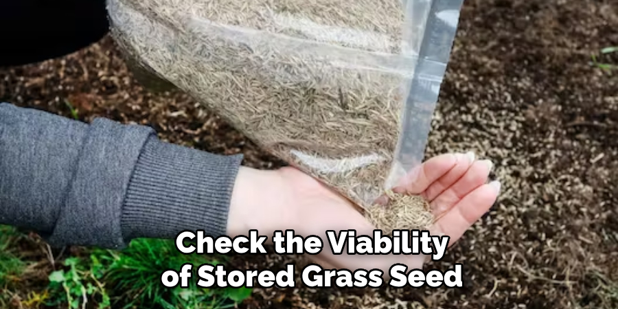 Check the Viability of Stored Grass Seed