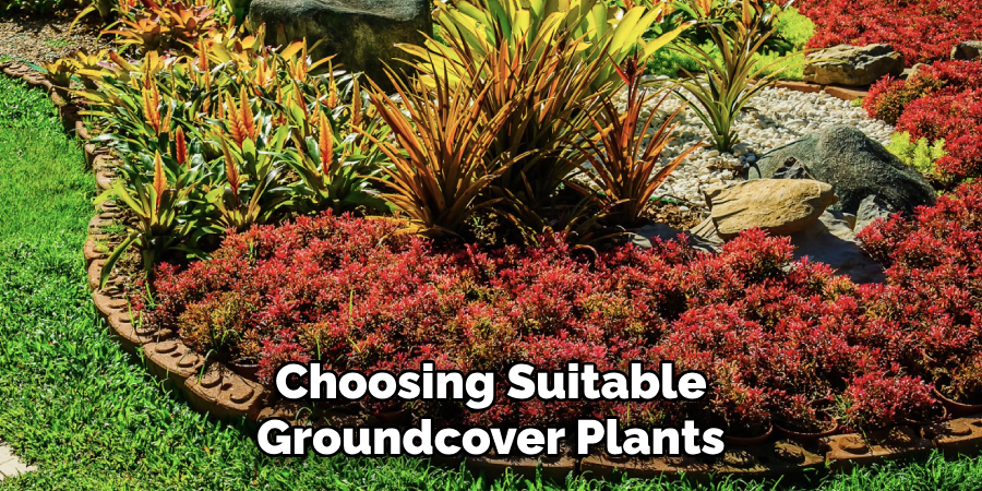 Choosing Suitable Groundcover Plants