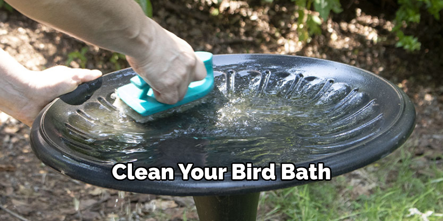 Clean Your Bird Bath