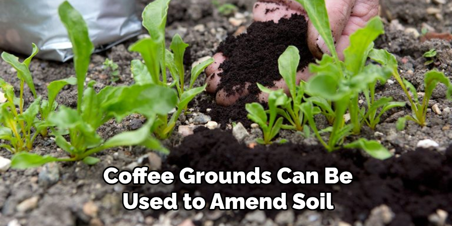 Coffee Grounds Can Be Used to Amend Soil