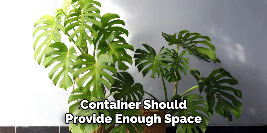 Container Should Provide Enough Space