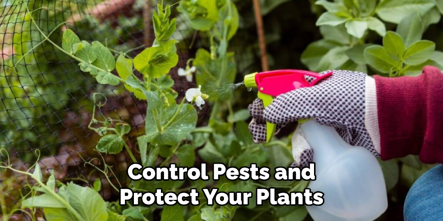 Control Pests and Protect Your Plants