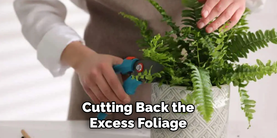 Cutting Back the Excess Foliage