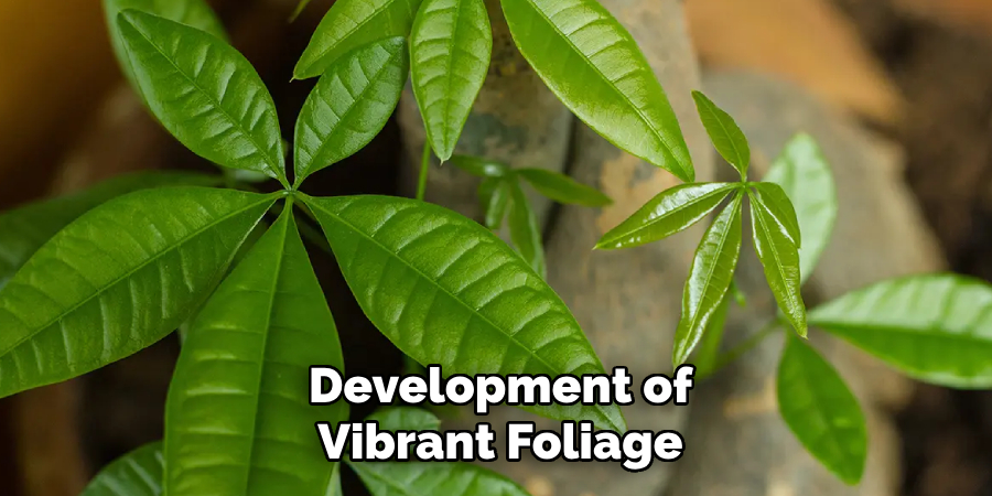 Development of Vibrant Foliage